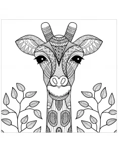 Pagina da colorare gratuita e gratis per bambini con giraffa da stampare