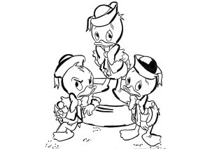 Riri, fifi e loulou hanno combinato un guaio.