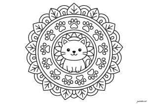 Mandala del piccolo gattino