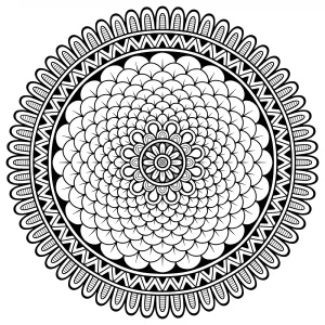 Petali sottili