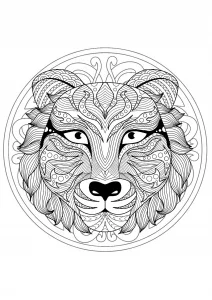 Testa di tigre   versione 1