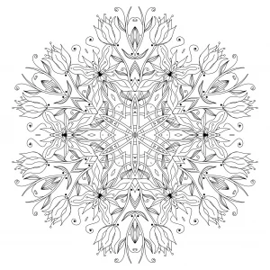 Fiori eleganti