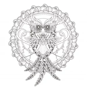 Mandala di gufi