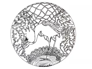 Mandala dell'airone