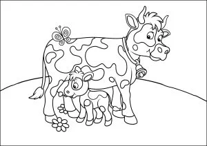 Mucca e vitello