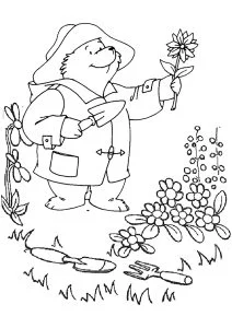 Disegni da colorare di orso paddington per bambini