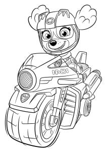 Stella in moto
