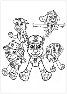 Squadra paw patrol