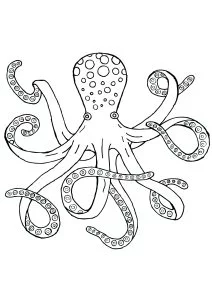 Bel polpo degli abissi marini