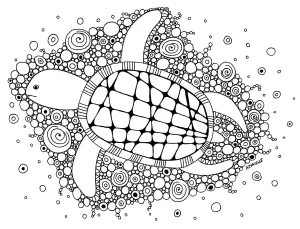 Disegno Di Tartaruga Da Stampare E Colorare