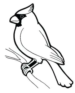 Uccello Appollaiato