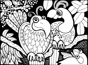 Pagina Da Colorare Gratuita Per Bambini Con Uccelli Da Stampare