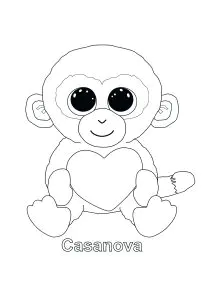 Casanova  Affe 