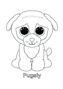 Pugsly  Hund 
