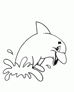 Delfin, Der Aus Dem Wasser Kommt