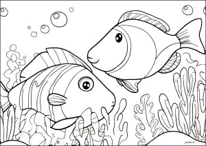 Zwei Schöne Fische Schwimmen.