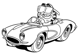Garfield In Seinem Auto