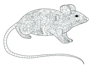 Langschwänzige Maus