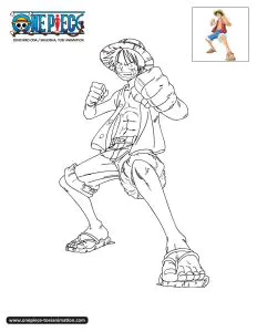 Monkey D. Luffy Bereit Zum Kampf