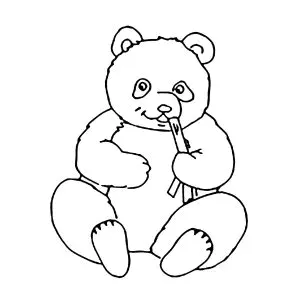 Schöner Panda