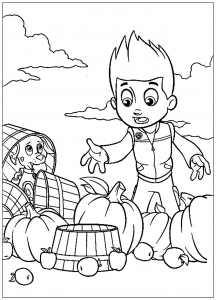 Paw Patrol: Unfug