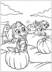 Paw patrol 56606
