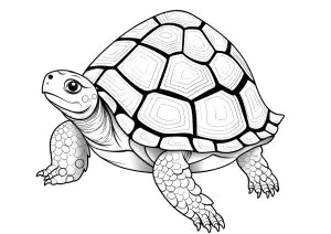 Zeichnung Einer Schildkröte Mit Schönen Schuppen.