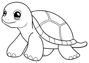 Sehr Einfache Zeichnung Einer Kleinen Schildkröte.