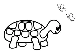 Schildkröte Und Schmetterlinge