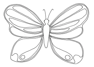 Einfaches Ausmalen Eines Schmetterlings