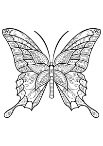 Schmetterlinge Kostenlos Zum Ausmalen