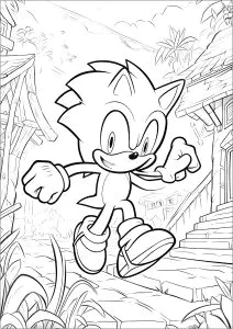 Sonic In Einem Verlorenen Dorf