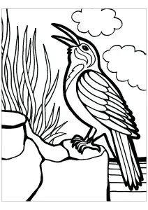 Vogel Am Meer