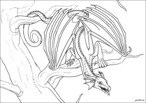 Majestätischer Drache auf seinem Ast