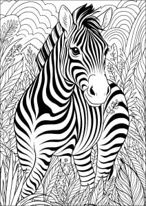 Zebra In Der Vegetation