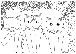 三只漂亮的小猫