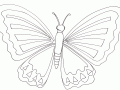 蝴蝶涂色画打印版（儿童适用）