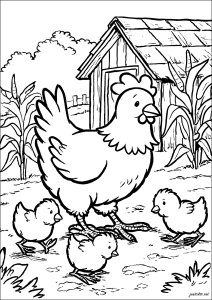 Poules et ひよこs explorant la ferme