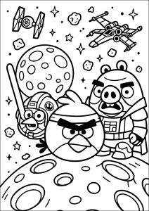 宇宙任務の鳥たち