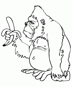 サル画像のダウンロードと塗り絵