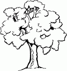 シンプルな木の塗り絵