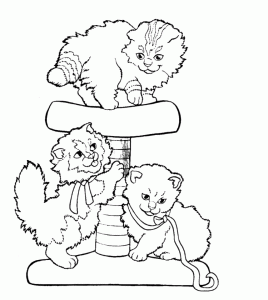 猫用の木と塗り絵の猫