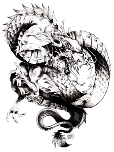 可怕的中国龙