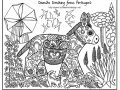 草地上的驴子