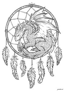 梦幻捕手中的神秘龙
