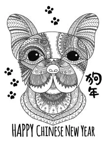 狗年