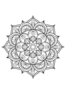 成人免费填色书中的曼陀罗   11