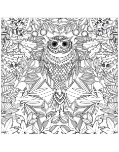 免费的复杂 猫头鹰 着色页打印