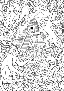 阿兹特克金字塔附近丛林里的猴子