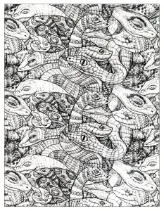 画满蛇的图画
